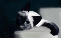 µ؈